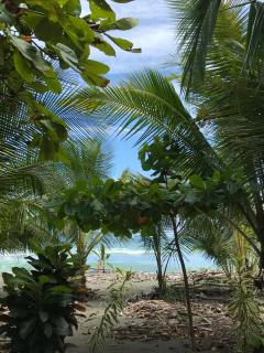 Casa Kumbaya Costa Rica - 8