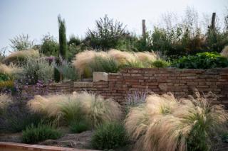 ESCONS DOMAINE DE CHARME - 4