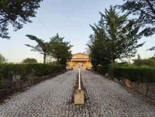 Quinta da Libelinha Alojamento Local - Mirandela - 1