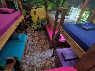 Oasis Beachfront Hostel - Puerto Limón - 8