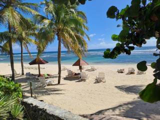 Grand Studio vue mer exceptionnelle, piscines, plages. - Sainte-Anne - 8