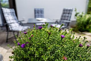 Appartement 2 - Dünenblick - 4