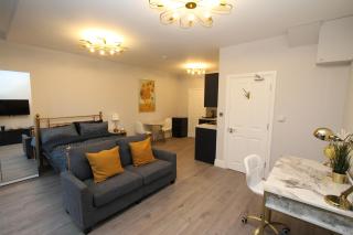 Luxury Studio Flat In London - 5