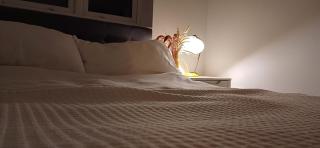 Greengage House - Newport - 3