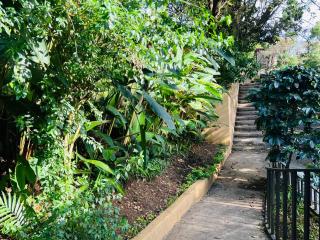 Apartamento Don Jarvey I - Monteverde - 2