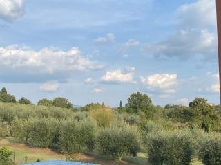 La Casa dell'Artista - Battifolle - 5