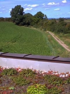 Reetdorf Geltinger Birk Künstlerkate Lagune - 7