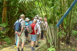 Veragua Rainforest - Puerto Limón - 4