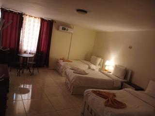 Rose city inn - Wadi Musa - 8