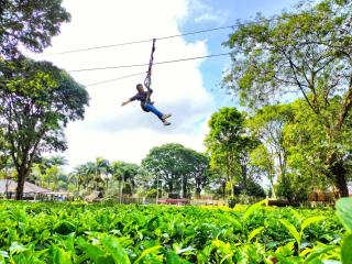 Kebun Teh Wonosari Rollaas Hotel & Resort - 1