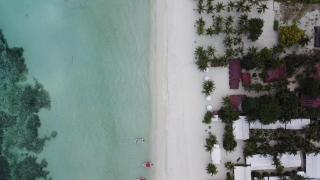 Beach Placid Resort powered by Cocotel - Ocoy - 7
