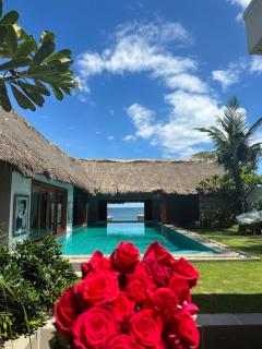 Green Organic Villas - 6