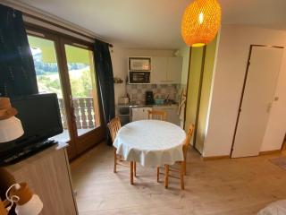 Studio au calme avec balcon, parking couvert et kitchenette équipée! - FR-1-692-90 - Abondance - 7