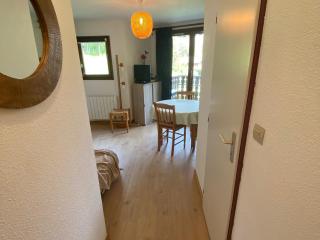 Studio au calme avec balcon, parking couvert et kitchenette équipée! - FR-1-692-90 - Abondance - 1