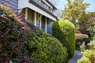 Inglenook Cottage Healesville - 7