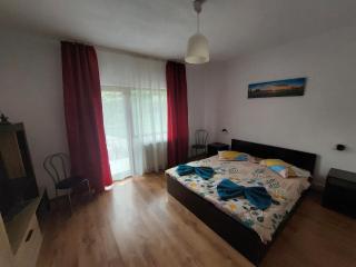 Casa Varipatti - Buşteni - 9