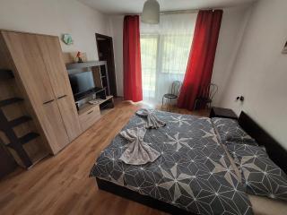 Casa Varipatti - Buşteni - 8