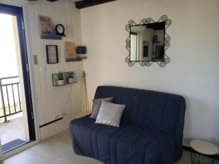 VUE PANORAMIQUE SUR LES PYRÉNÉES - 9