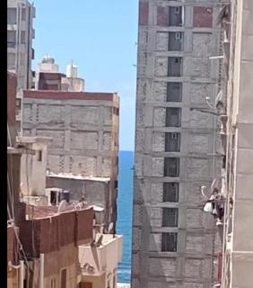 شقة الزهراء - Alexandria - 9