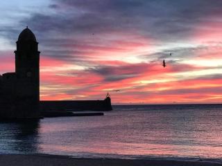 T3 Paisible-Terrasse-stationnement gratuit - Collioure - 6