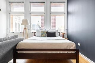 Loop Studio w Gym Doorman nr L Parks CHI-300 - 2