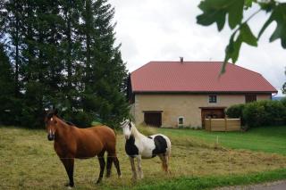 Le Bois gentil - Foncine-le-Haut - 5