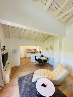 Vila Milincic Loft Milincic - Banja Luka - 4