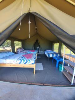 SEMADEP SAFARI CAMP - Sekenani - 4