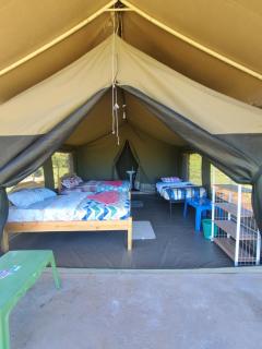 SEMADEP SAFARI CAMP - Sekenani - 5