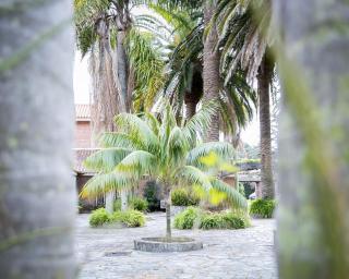La Baguala - 7