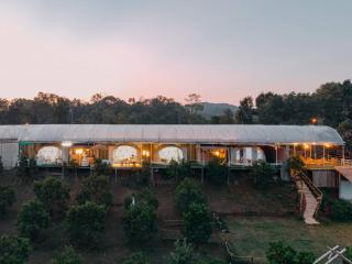 Paopao Orange Farm and Home stay - 2