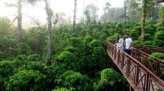 Niyatma Wayanad Pool Resort by VOYE HOMES - Wayanad - 4