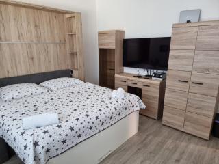 Garsoniera DUKLA 289 - Děčín - 9