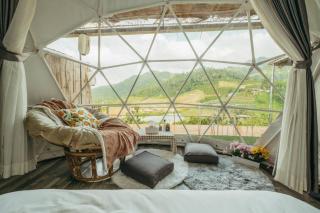 Paopao Orange Farm and Home stay - 3