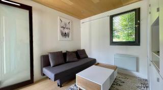 Studio rénové avec terrasse Sud idéalement situé - Combloux - 5