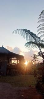 New Rinjani Homestay - Tetebatu - 3