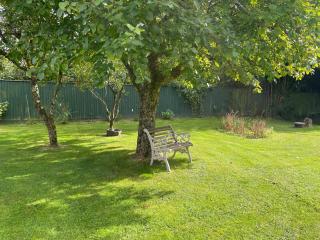 Woodland House B & B - Wimborne Minster - 7