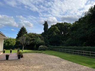Woodland House B & B - Wimborne Minster - 2