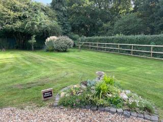 Woodland House B & B - Wimborne Minster - 8