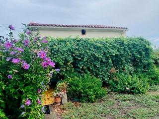 Maison F3 à Céret avec jardin, terrasses et climatisation, proche centre-ville - FR-1-703-96 - Céret - 1