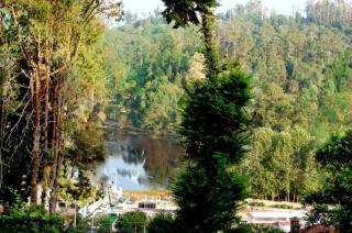 Maruti Villa - Kodaikanal - 0