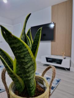 Stylish 2 bed home- short walk to Tottenham Stadium/Stations - Londen - 7