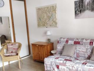 Charmant studio 4 pers, pied des pistes, parking, animaux admis - FR-1-342-240 - Beaufort - 9