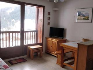 Charmant studio 4 pers, pied des pistes, parking, animaux admis - FR-1-342-240 - Beaufort - 8