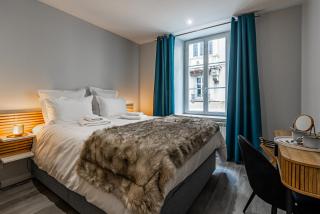 Aux Fleurs de Darcy Confort Centre Ville - Dijon - 7