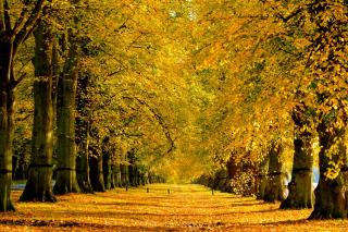 11 Plants Yard, Bridge Street, Worksop. - 2