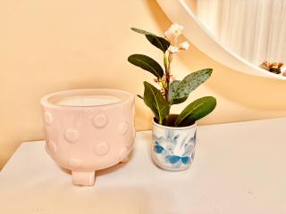 Scorpio House Langley -ROOM A - Langley - 1