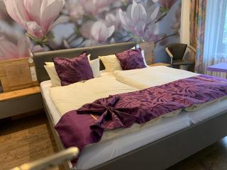 Hotel Paidion - Braunlage - 8
