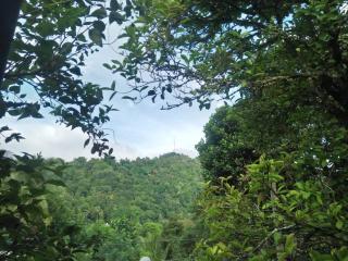 The Jesmine Homestay - 6