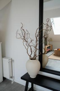 Designer Apartment an der Leineinsel in Hannover, direkt am Wasser in ruhiger Laage, Messeapartment - 6